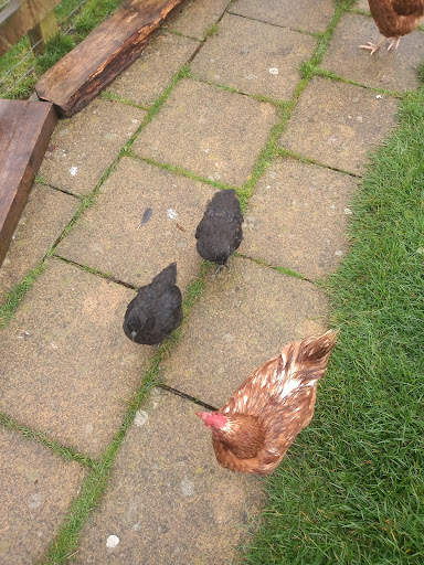 Hartleys Farm - Thumbnail