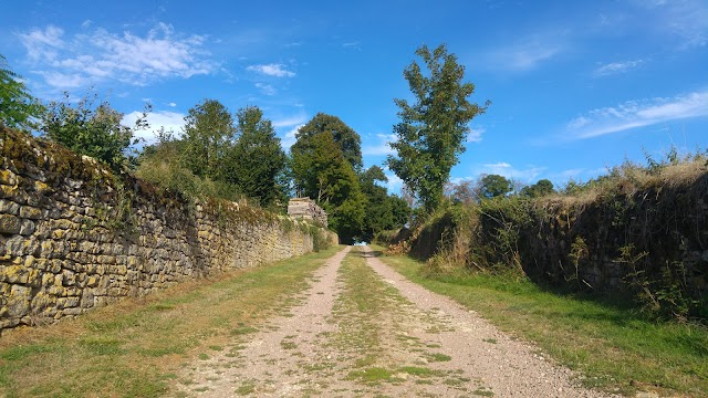Chateau D'Arthel