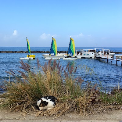 Photos of Alykes Beach