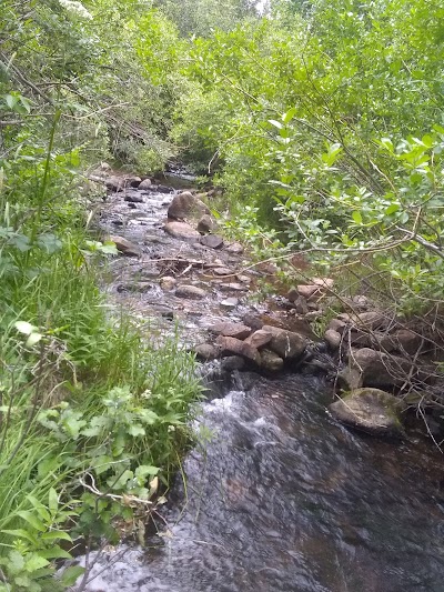 Ophir Creek Campground