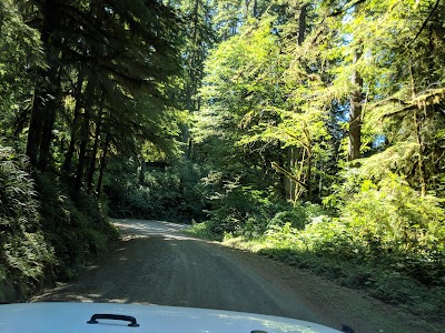 Siuslaw National Forest Supervisor