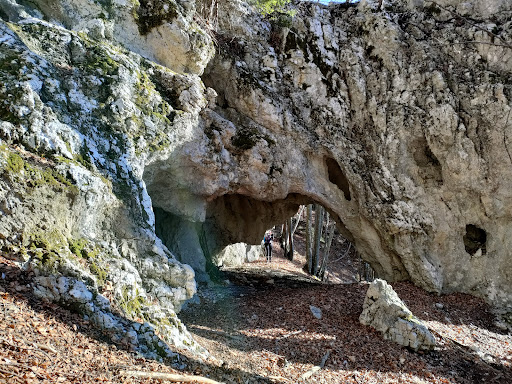 Foresta di Giazza - Italy