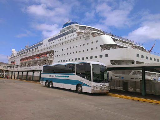 Bayside Coaches - Thumbnail