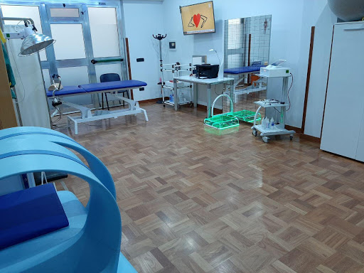 Studio di fisioterapia e osteopatia ARP - Thumbnail