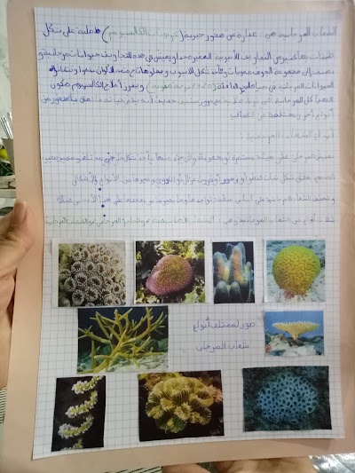 Photos of نادي الطفل المتميز