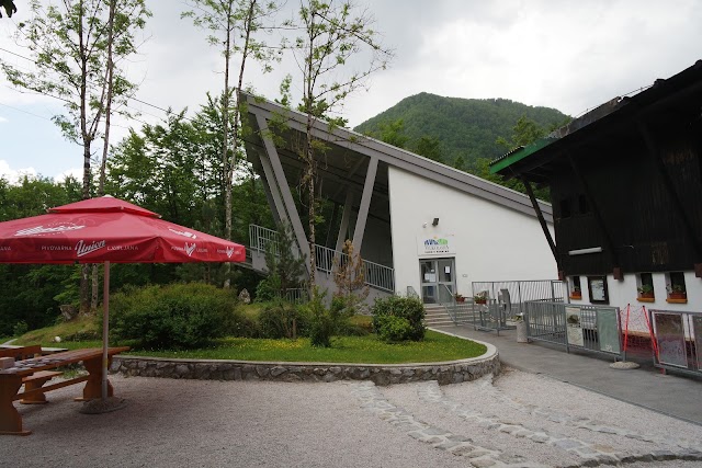 Velika Planina