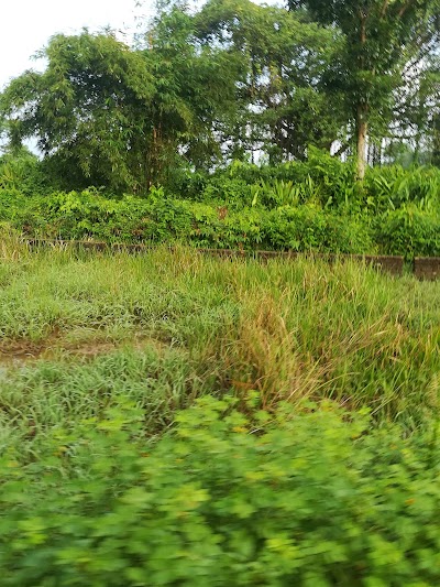 Photos of নাইশ্যা টিলা( কবরস্থান)-Grave Yard