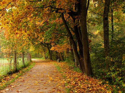 Photos of Pūčkorių pažintinis takas