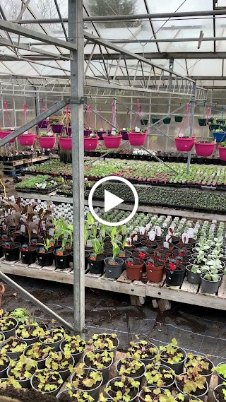 Four Acres Nursery