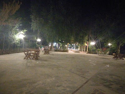 Photos of Zarina garden