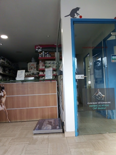 CLINIQUE VETERINAIRE CROIX DU SUD - Dr de la Chapelle & Dr Papin - Thumbnail