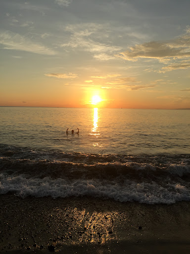 Mangos Beach Club Gallery - Mexico