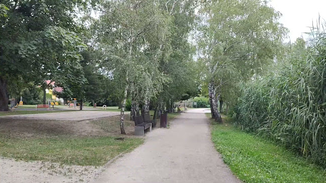 Fitnesz park - Csónakázó tó