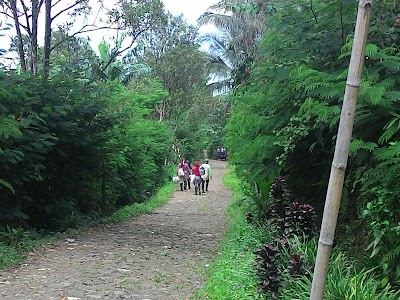 Photos of Kampung Penambang