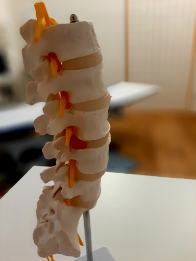 FISIOMETAURO Fisioterapia e Riabilitazione di Alessandro Capra - Thumbnail