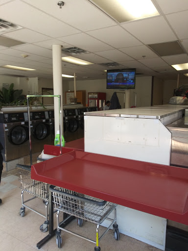 Laundry Acre - Thumbnail