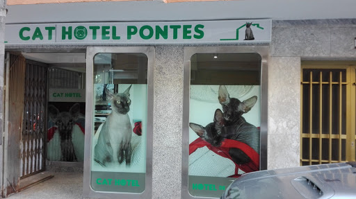 Clínica Veterinaria Pontes