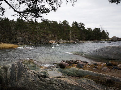 Femöre naturreservat - Thumbnail