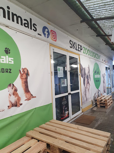 BK Animals Włościańska