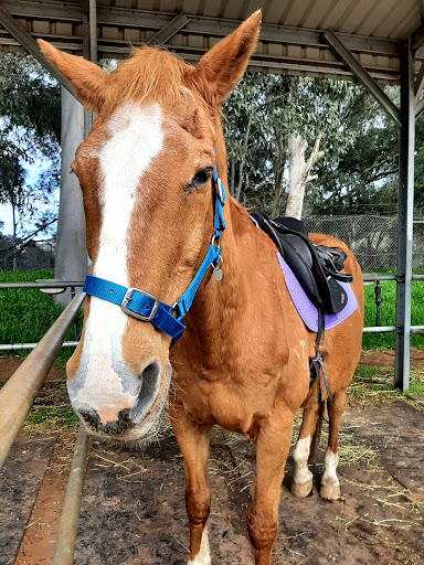 State Equestrian Centre - Thumbnail