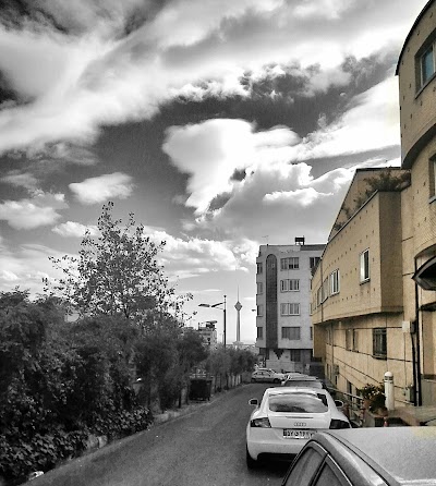 Photos of مجتمع موج