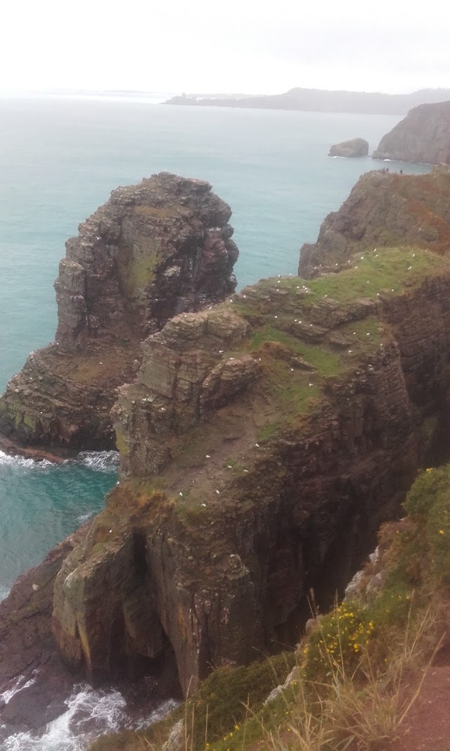 Phare du Cap Fréhel