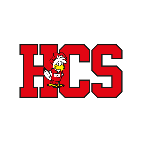Hillside Community School - Visual