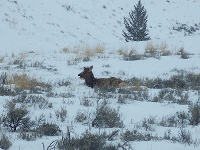 Soda Butte