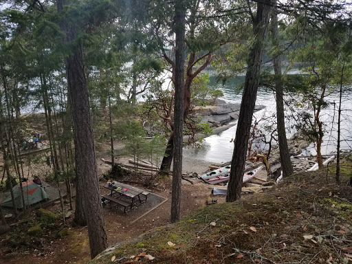Chivers point, Campsite. - Thumbnail