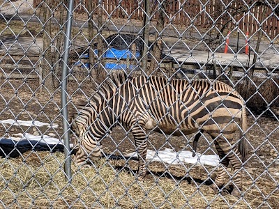 Utica Zoo