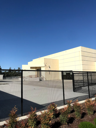 Shasta Elementary School Logo