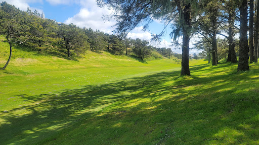 DiscountDansGolf.com - Visual