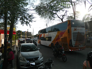 Terminal Movil Bus 4