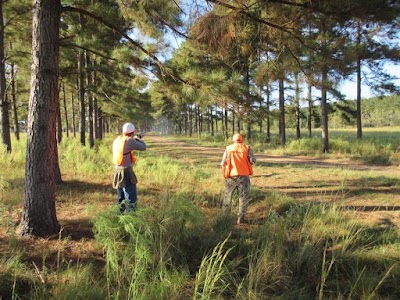 Dry Creek Ranch- Quail Hunting, Pheasant Hunting, Chukar Hunting And Red Stag Hunting In Louisiana