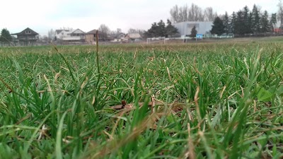 Photos of Stadion Tsska