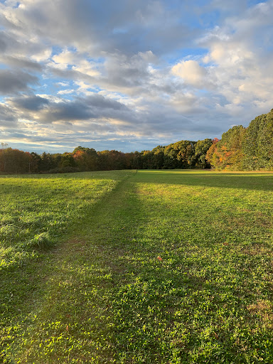 Stratham Hill Park - Thumbnail