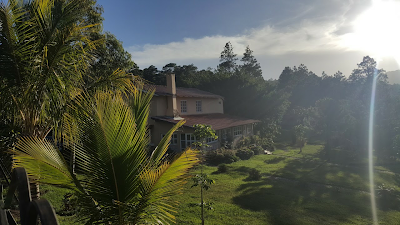 Photos of Oasis Del Valle