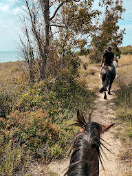 Photo n°7 de Les écuries de Campitello à Canale-di-Verde (Centre équestre)