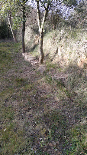 Font Voltada