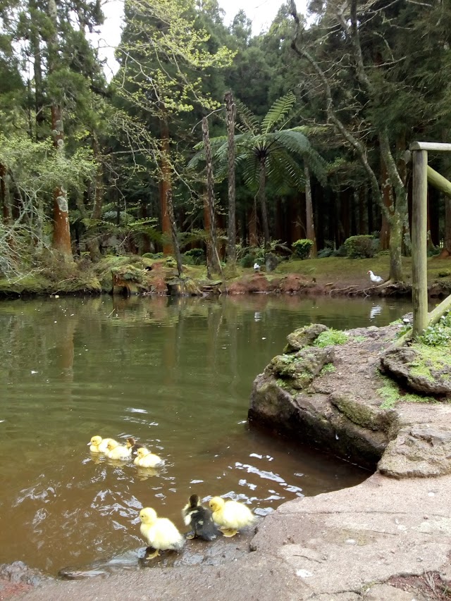 Parque Florestal das Sete Fontes