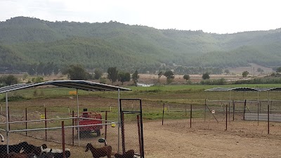 Photos of Kuru&ccedil;eşme &Ccedil;iftliği