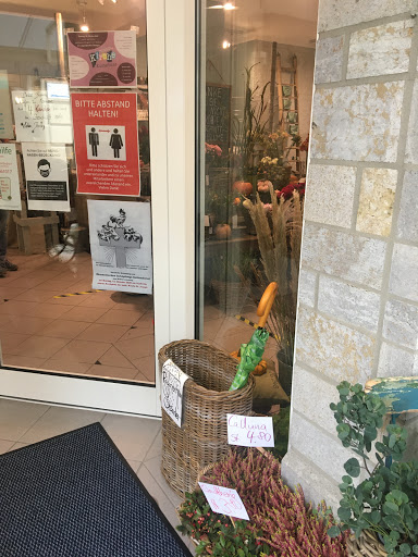 Blumen Galerie Myleen