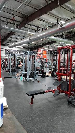 Absolute Recomp - Visual