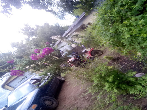 Fair Oaks Flowers & Plants - Thumbnail
