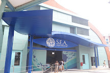 S.E.A. Aquarium, Sentosa Island, Singapore