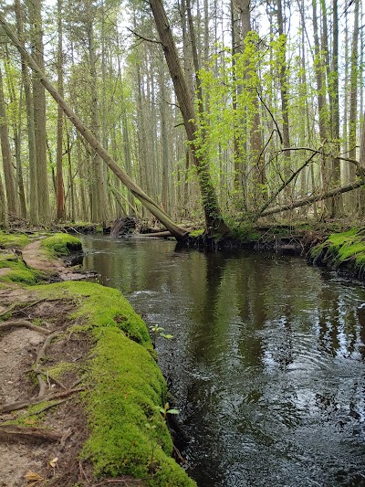 Wharton State Park camping site