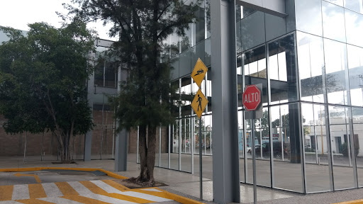 Plaza Comercial Paseo Olivos Anexo 2