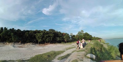 Photos of Taltola, Gouripur, Padma River