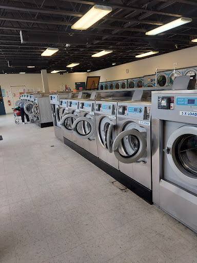 Belmont Eco Laundry Logo