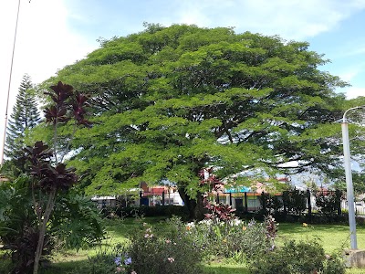 Photos of Transtusa Mall